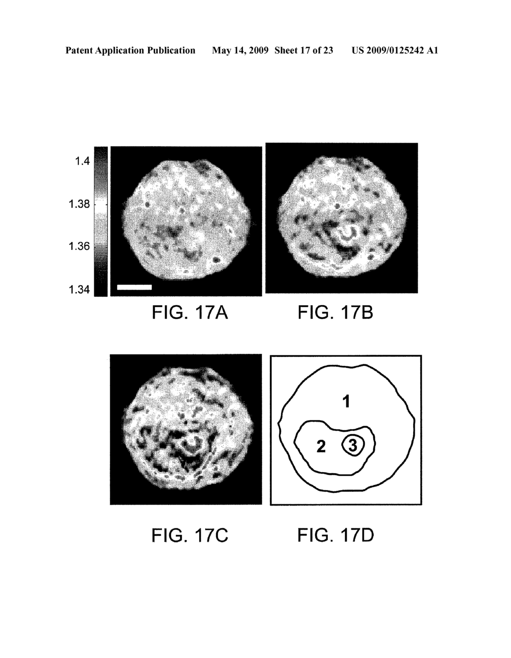 Tomographic phase microscopy - diagram, schematic, and image 18