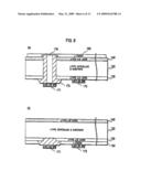 SOLAR CELL AND SOLAR CELL MODULE INCLUDING THE SAME diagram and image