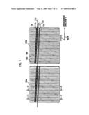 SOLAR CELL AND SOLAR CELL MODULE INCLUDING THE SAME diagram and image