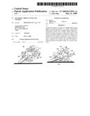 WEARABLE AIRBAG SYSTEM AND METHOD diagram and image