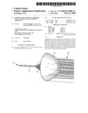 Lighting means having a primary optics element and an optical apparatus diagram and image