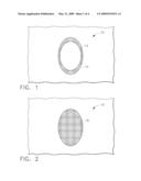 IMAGING METHOD TO VERIFY ELECTRICAL CONDUCTIVITY ACROSS LIGHTNING STRIKE PROTECTION BOUNDARIES diagram and image