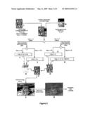 METHOD OF FORMING A SECURITIZED IMAGE diagram and image