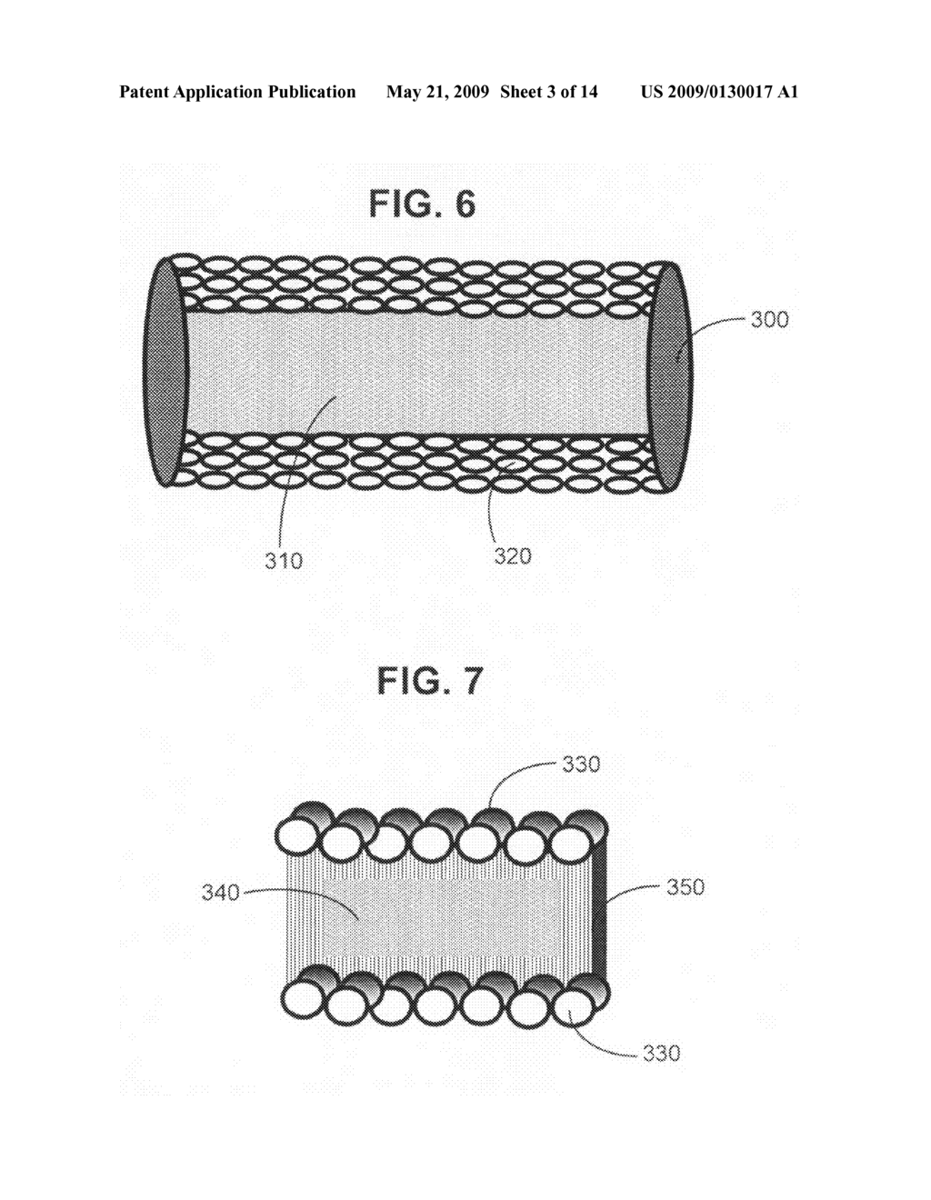 Targeted short-lived drug delivery - diagram, schematic, and image 04