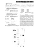 RE-ENGINEERED UV DAMAGE ENDONUCLEASE, COMPOSITIONS AND METHODS diagram and image