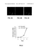 RE-ENGINEERED UV DAMAGE ENDONUCLEASE, COMPOSITIONS AND METHODS diagram and image