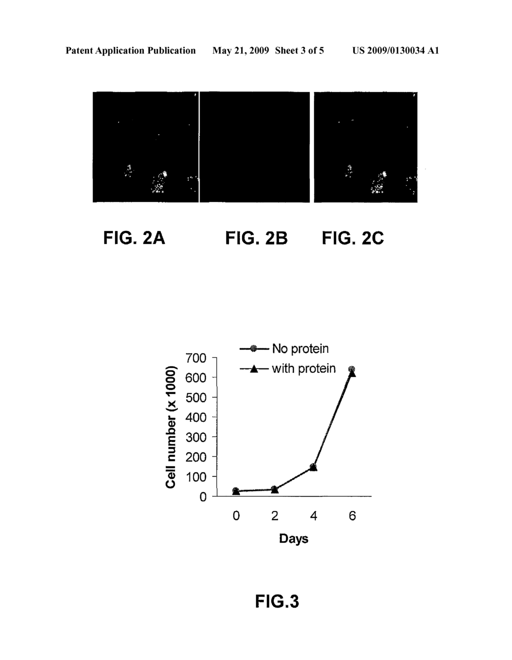 RE-ENGINEERED UV DAMAGE ENDONUCLEASE, COMPOSITIONS AND METHODS - diagram, schematic, and image 04