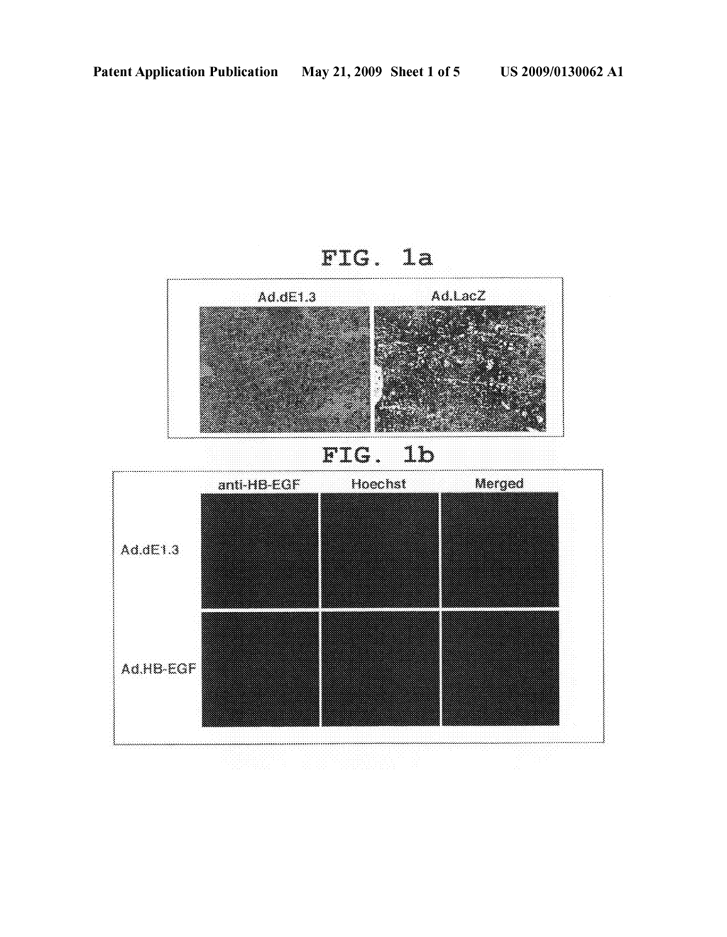 Novel Application of Heparin-Binding Epidermal Growth Factor-Like Growth Factor for Medical Purposes - diagram, schematic, and image 02