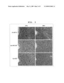 Novel Application of Heparin-Binding Epidermal Growth Factor-Like Growth Factor for Medical Purposes diagram and image