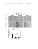 Novel Application of Heparin-Binding Epidermal Growth Factor-Like Growth Factor for Medical Purposes diagram and image