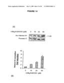 DIFFERENTIATION OF STEM CELLS AND STABILIZATION OF PHENOTYPICAL PROPERTIES OF PRIMARY CELLS diagram and image