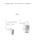 DIFFERENTIATION OF STEM CELLS AND STABILIZATION OF PHENOTYPICAL PROPERTIES OF PRIMARY CELLS diagram and image