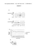 DIFFERENTIATION OF STEM CELLS AND STABILIZATION OF PHENOTYPICAL PROPERTIES OF PRIMARY CELLS diagram and image