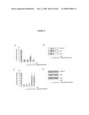 DIFFERENTIATION OF STEM CELLS AND STABILIZATION OF PHENOTYPICAL PROPERTIES OF PRIMARY CELLS diagram and image