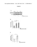 DIFFERENTIATION OF STEM CELLS AND STABILIZATION OF PHENOTYPICAL PROPERTIES OF PRIMARY CELLS diagram and image