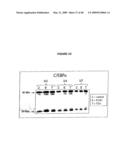 DIFFERENTIATION OF STEM CELLS AND STABILIZATION OF PHENOTYPICAL PROPERTIES OF PRIMARY CELLS diagram and image