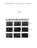 DIFFERENTIATION OF STEM CELLS AND STABILIZATION OF PHENOTYPICAL PROPERTIES OF PRIMARY CELLS diagram and image