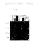 Multipotent adult stem cells diagram and image