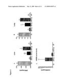 INTRAVENTRICULAR ENZYME DELIVERY FOR LYSOSOMAL STORAGE DISEASES diagram and image