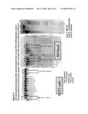 ANTI-CANCER THERAPY WITH AN EXTRACT OF SCUTELLARIA BARBATA diagram and image