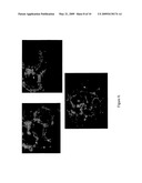 POLY (ESTER URETHANE) UREA FOAMS WITH ENHANCED MECHANICAL AND BIOLOGICAL PROPERTIES diagram and image