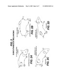 SILICATE CONTAINING COMPOSITIONS AND METHODS OF TREATMENT diagram and image