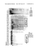 PROCESS OF MAKING PURIFIED EXTRACT OF SCUTELLARIA BARBATA D. DON diagram and image