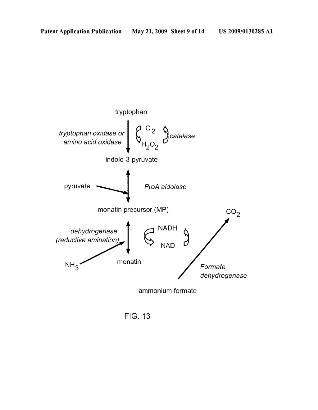 Beverage Compositions Comprising Monatin and Methods of Making Same - diagram, schematic, and image 10