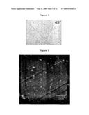 METHOD FOR PREPARING AN ORIENTED AND NANOSTRUCTURED SURFACE OF A POLYMER diagram and image