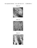 METHOD FOR PREPARING AN ORIENTED AND NANOSTRUCTURED SURFACE OF A POLYMER diagram and image