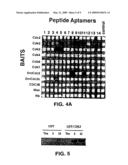 Interaction trap systems for detecting protein interactions diagram and image