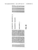 Interaction trap systems for detecting protein interactions diagram and image