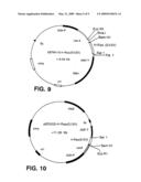 Interaction trap systems for detecting protein interactions diagram and image