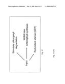 Biological systems input-output response system and plant sentinels diagram and image