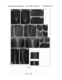 Biological systems input-output response system and plant sentinels diagram and image