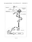 Biological systems input-output response system and plant sentinels diagram and image