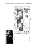 Biological systems input-output response system and plant sentinels diagram and image