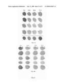 Biological systems input-output response system and plant sentinels diagram and image