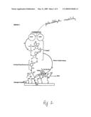 CUSTOMIZABLE AND RENEWABLE NANOSTRUCTURED INTERFACE FOR BIOELECTRONIC APPLICATIONS diagram and image