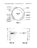 TRICHODERMA PROMOTER diagram and image