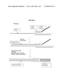 IMPROVED NUCLEIC ACID AMPLIFICATION PROCEDURE diagram and image