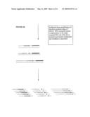 IMPROVED NUCLEIC ACID AMPLIFICATION PROCEDURE diagram and image