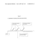 IMPROVED NUCLEIC ACID AMPLIFICATION PROCEDURE diagram and image