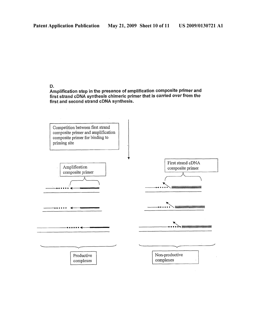 IMPROVED NUCLEIC ACID AMPLIFICATION PROCEDURE - diagram, schematic, and image 11