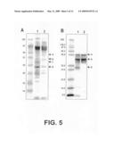 Thermally-tolerant pectin methylesterase diagram and image