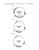 METHOD OF EXPRESSING LONG-CHAIN PRENYL DIPHOSPHATE SYNTHASE diagram and image