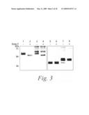 Novel fungal proteins and nucleic acids encoding same diagram and image