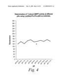 Novel fungal proteins and nucleic acids encoding same diagram and image