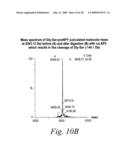 Novel fungal proteins and nucleic acids encoding same diagram and image