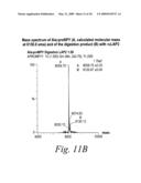 Novel fungal proteins and nucleic acids encoding same diagram and image